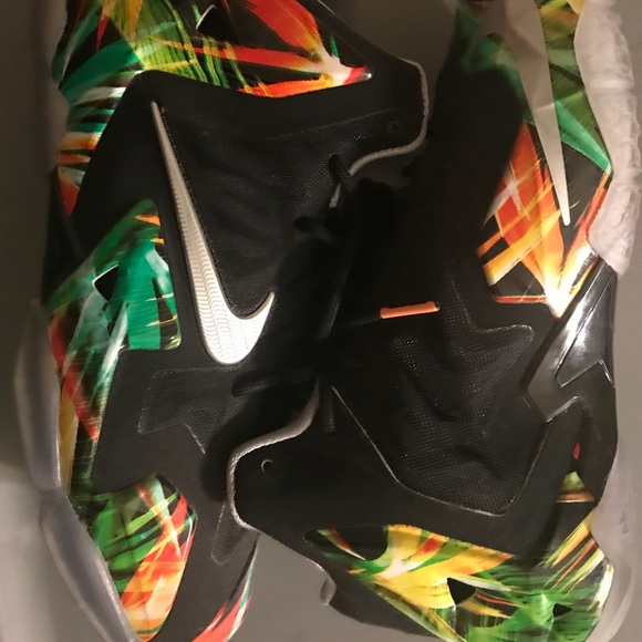 Shoes - Nike Lebrons